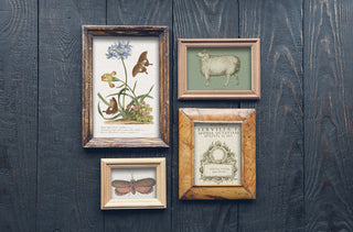 Brocante IOD Transfer 12x16 Pad™