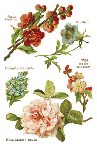 Lover of Flowers IOD Transfer (8) 8x12