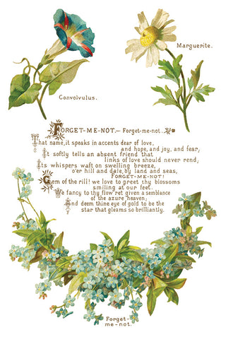 Lover of Flowers IOD Transfer (8) 8x12