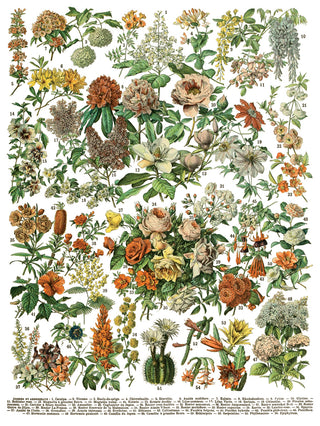 Millot's Pages IOD Transfer 12x16 Pad™