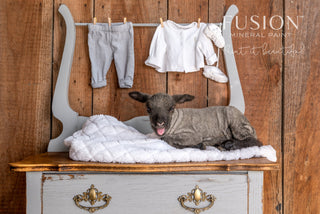 Little Lamb - Fusion Mineral Paint
