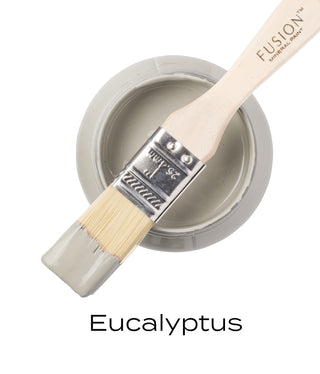 Eucalyptus - Fusion Mineral PainT
