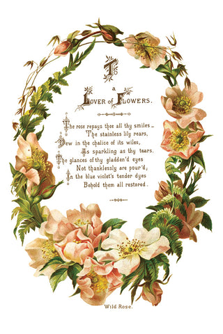 Lover of Flowers IOD Transfer (8) 8x12