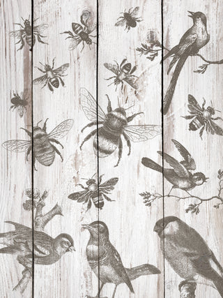 Birds & Bees IOD Decor Stamp™