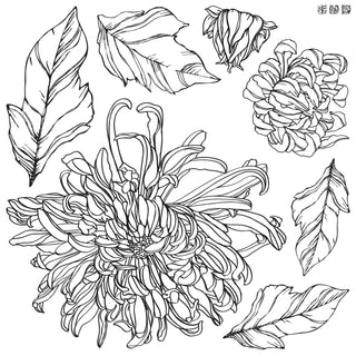 Chrysanthemum IOD Stamp™