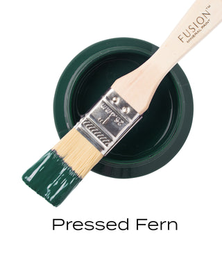 Pressed Fern - Fusion Mineral Paint