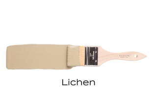 Lichen - Fusion Mineral Paint